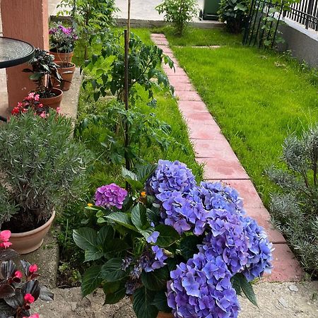 Apartment Aleksandra バール エクステリア 写真