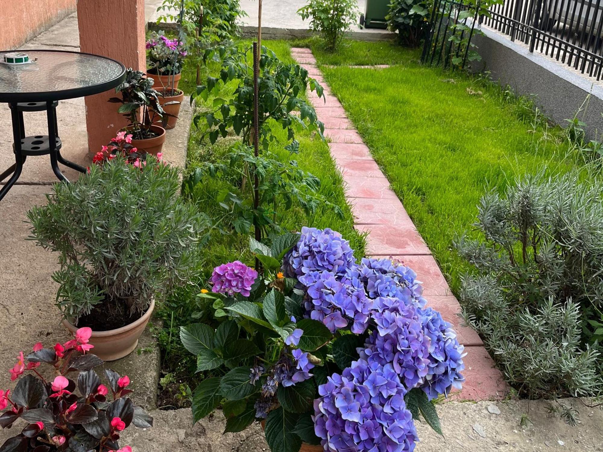 Apartment Aleksandra バール エクステリア 写真